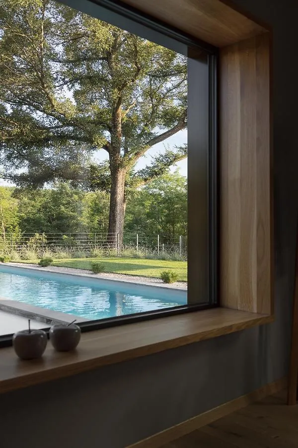 Villa Ulmus Near Motovun For 6 People With Heated Pool & Jacuzzi Karojba